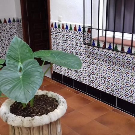 Patio Pompeyos Apartment Kordoba Bagian luar foto
