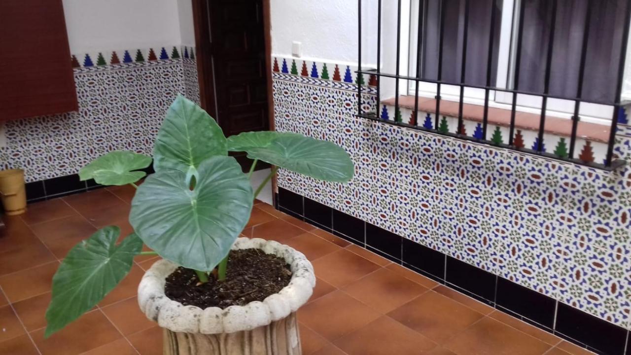 Patio Pompeyos Apartment Kordoba Bagian luar foto